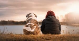 I cani provano sentimenti ed emozioni
