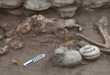 Scoperti i resti di un uomo operato al cervello 3500 anni