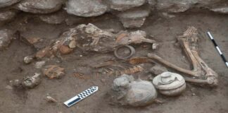 Scoperti i resti di un uomo operato al cervello 3500 anni