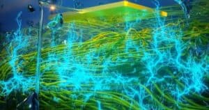 coltivare degli elettrodi direttamente su un tessuto vivente