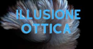 illusione