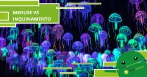 Inquinamento, grazie ad alcune meduse sarà possibile combatterlo