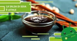 Salsa di Soia, pessime notizie in arrivo per gli amanti del sushi