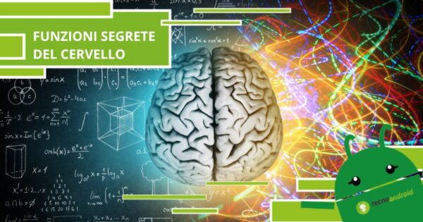 Cervello, non immaginereste mai cosa è in grado di fare oltre a produrre pensieri