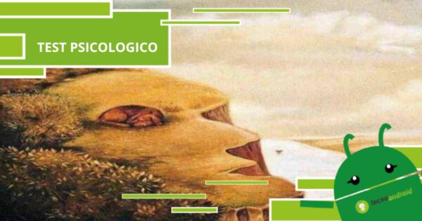 Test psicologico, non ci crederete ma nell'immagine c'è un uomo