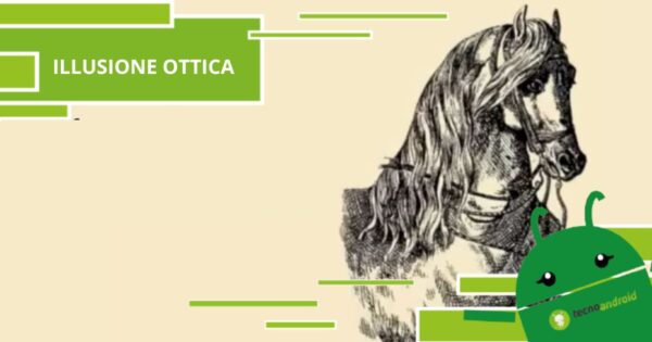Illusione Ottica, nell'immagine c'è un cavallo ma anche un fantino
