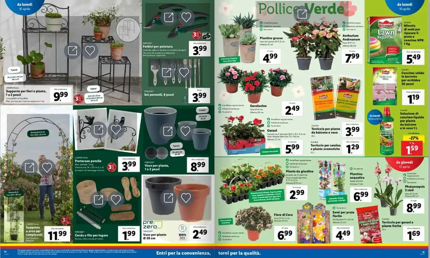 lidl lidl