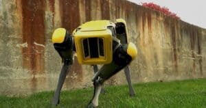 Cani Robot