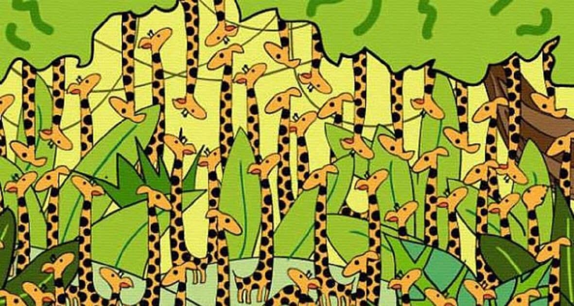 Trova il serpente tra le giraffe