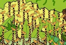 Trova il serpente tra le giraffe