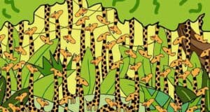Trova il serpente tra le giraffe