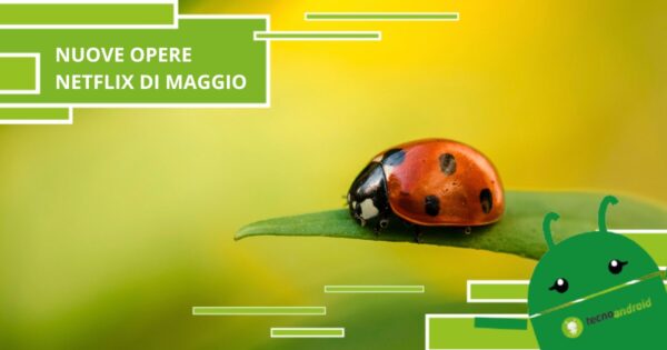 Netflix, il mese di Maggio è appena entrato e già promette novità esilaranti