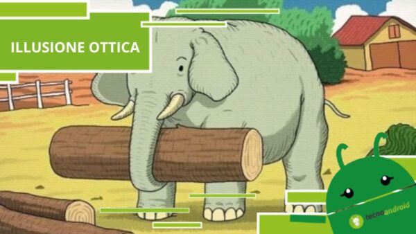 Illusione Ottica, nell'immagine c'è un elefante ma anche un cavallo