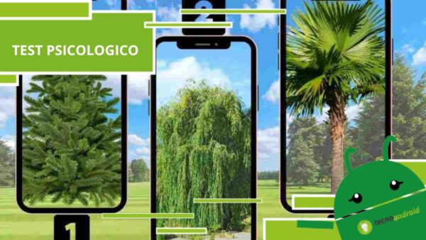 Test psicologico, ad ogni albero corrisponde una personalità