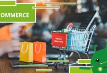 E-commerce, il futuro sarà interamente dettato dallo shop online