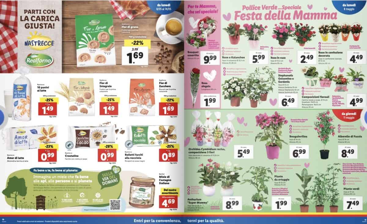 Lidl - utilizzo