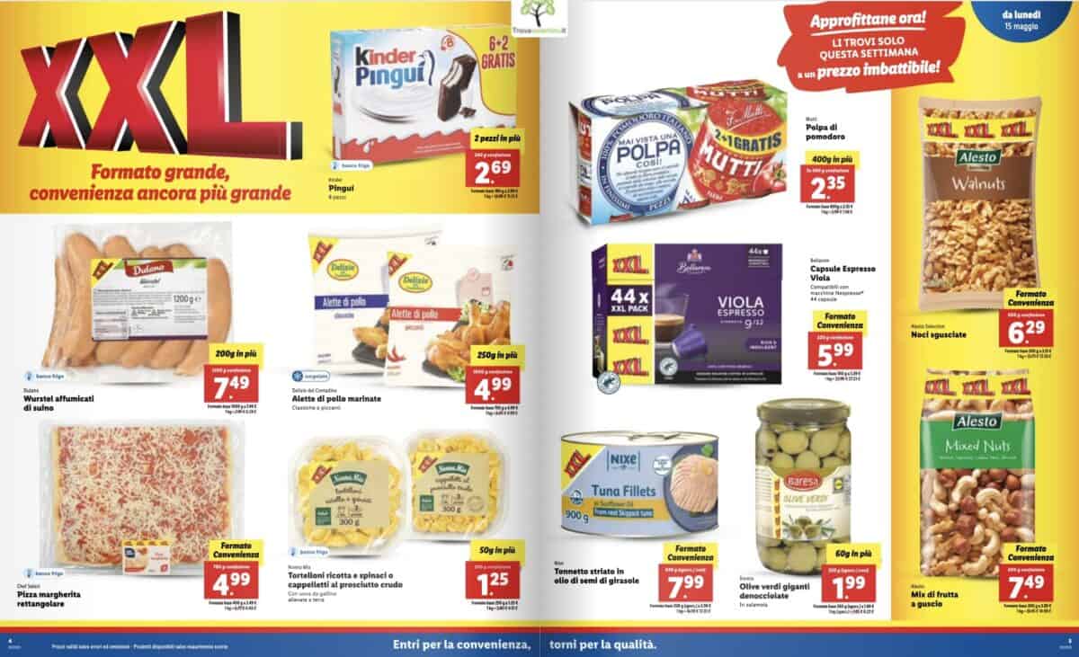 volantino lidl 15 maggio