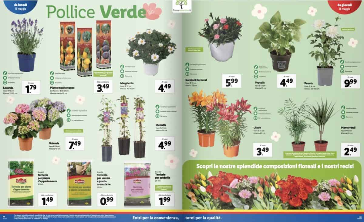 Lidl - immagine 12