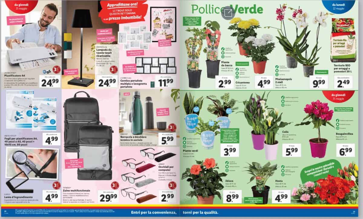 Lidl - dettaglio Lidl - dettaglio