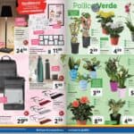 lidl - dettaglio lidl