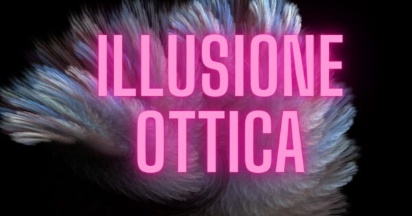 Illusione Ottica, chi troverà l'uomo in questa foto è un genio