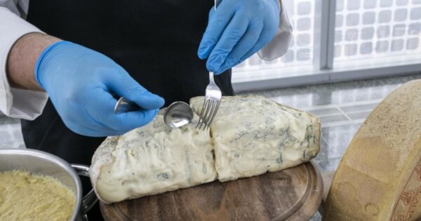 salmonella-nel-tomino-richiamo-in-corso-per-molti-supermercati-italiani
