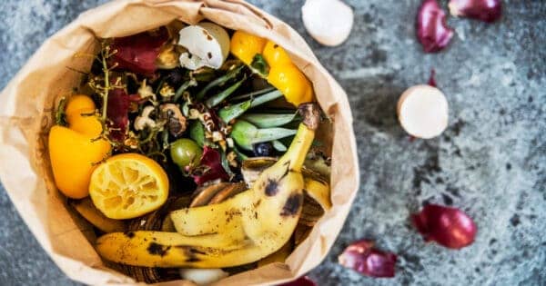 spreco-alimentare-in-italia-i-costi-e-soluzioni-per-un-futuro-sostenibile