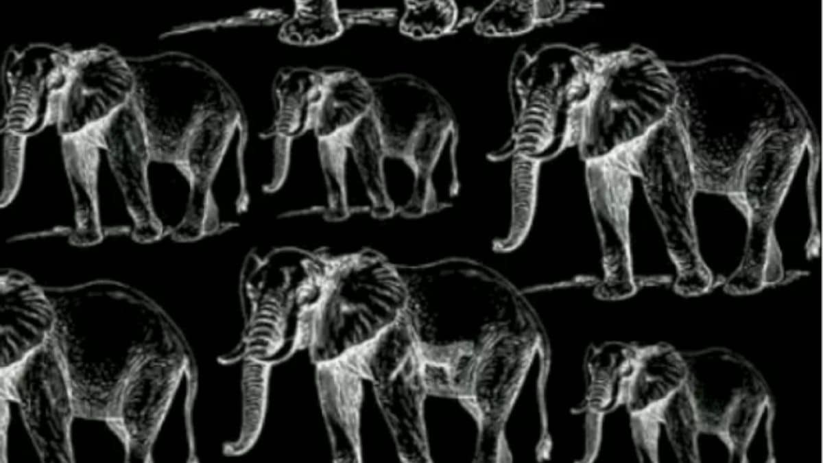 Illusioni