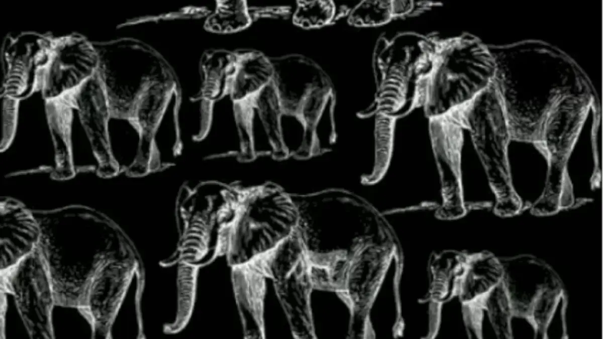Illusioni