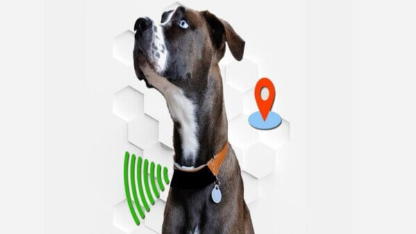 Localizzatore