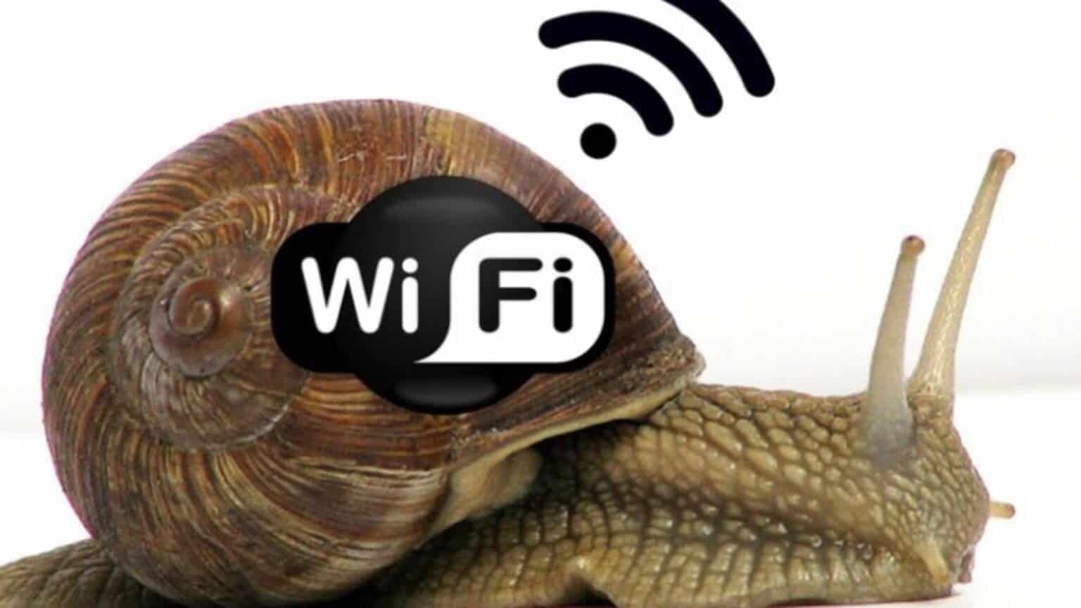 Wifi