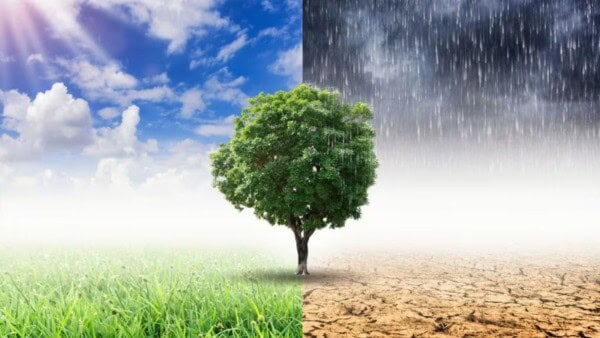 Riscaldamento globale, l'Europa è in grave pericolo rispetto al resto del Mondo