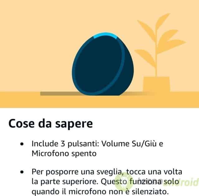 Amazon Echo Pop