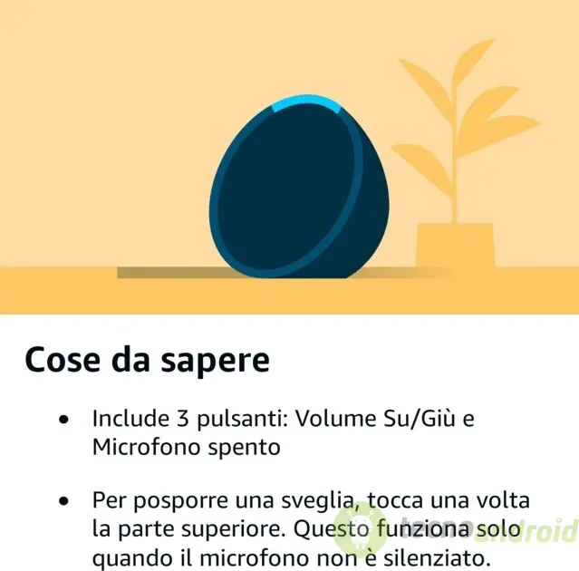 Amazon Echo Pop