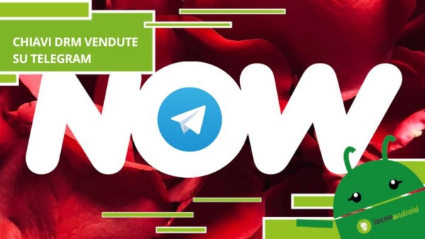 NOW, su Telegram è possibile trovare le chiavi DRM in vendita