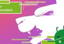 Test psicologico, ciò che vedi per primo rivela chi sei davvero Test psicologico, ciò che vedi per primo rivela chi sei davvero