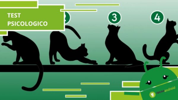Test psicologico, scegli un gatto e ti dirà a cosa ambisci nella vita