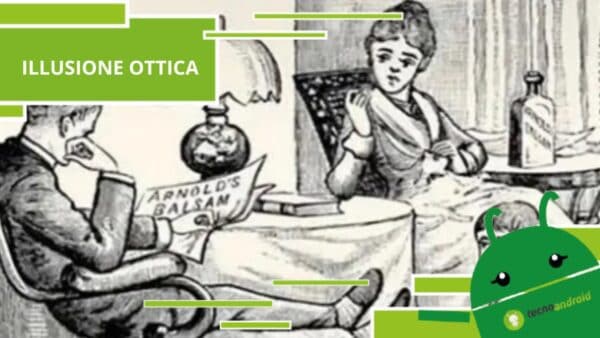 Illusione Ottica, siamo sicuri che non troverai i due gattini nascosti nell'immagine