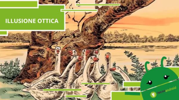 Illusione Ottica, ti sfidiamo a trovare la volpe nascosta tra le oche
