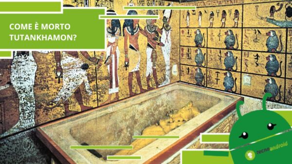 Tutankhamon, anche i faraoni muoiono per incidente stradale in stato di ebbrezza