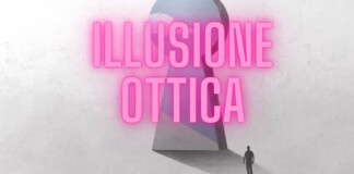 Illusione Ottica perfetta per noi italiani, chi trova la fetta di pezza diversa?