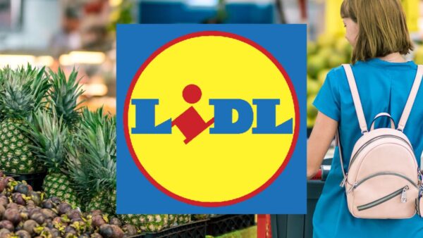 Lidl senza freni, oggi REGALA prodotti al 90% di sconto