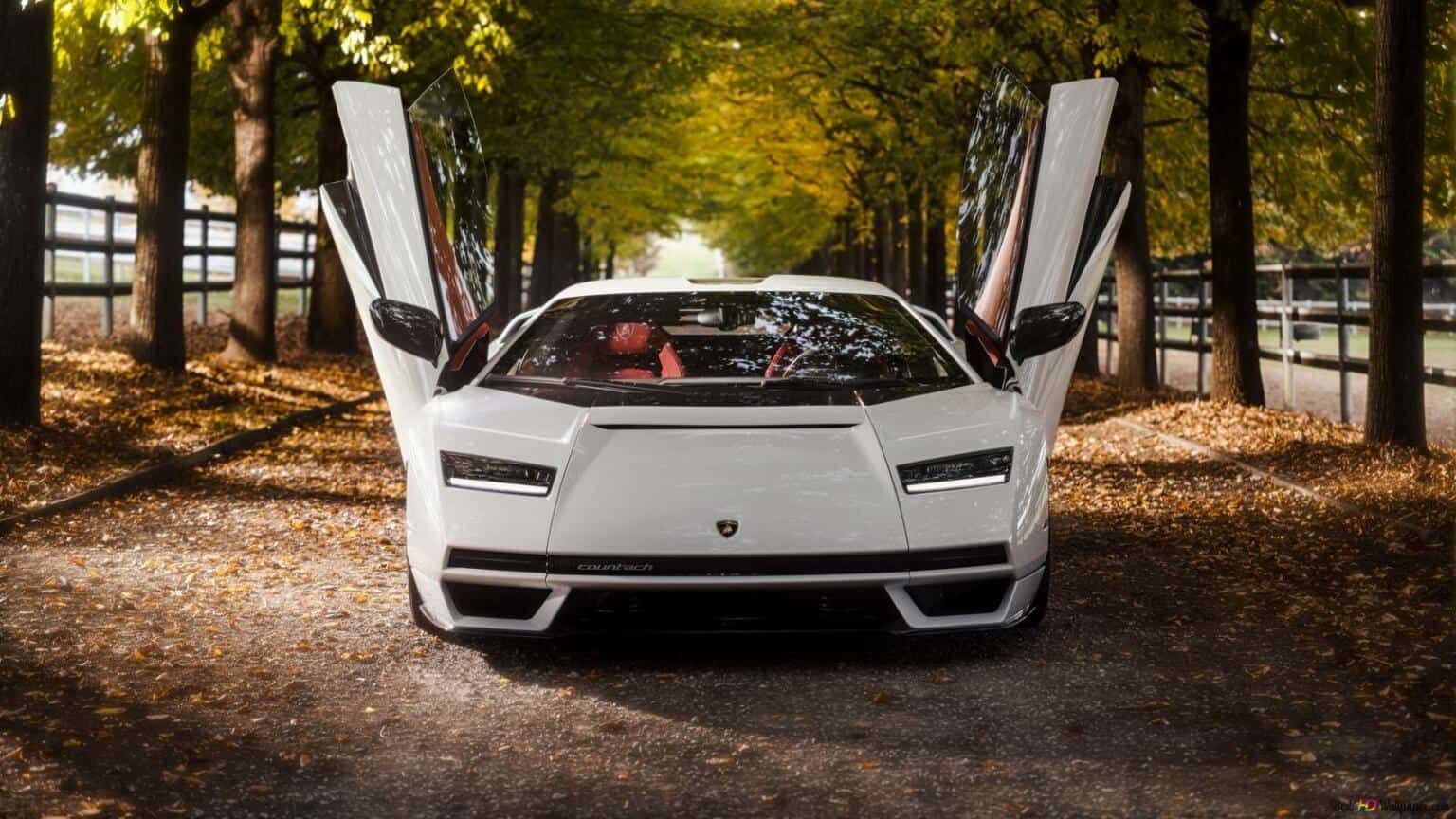 Lamborghini, Countach, natura, green