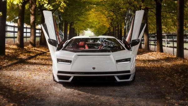 Lamborghini, Countach, natura, green