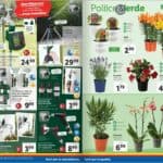 lidl - dettaglio lidl