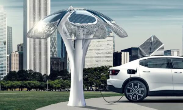 solar trees
