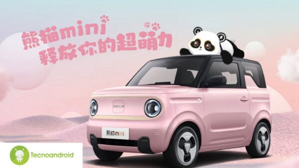 panda