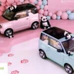 panda panda