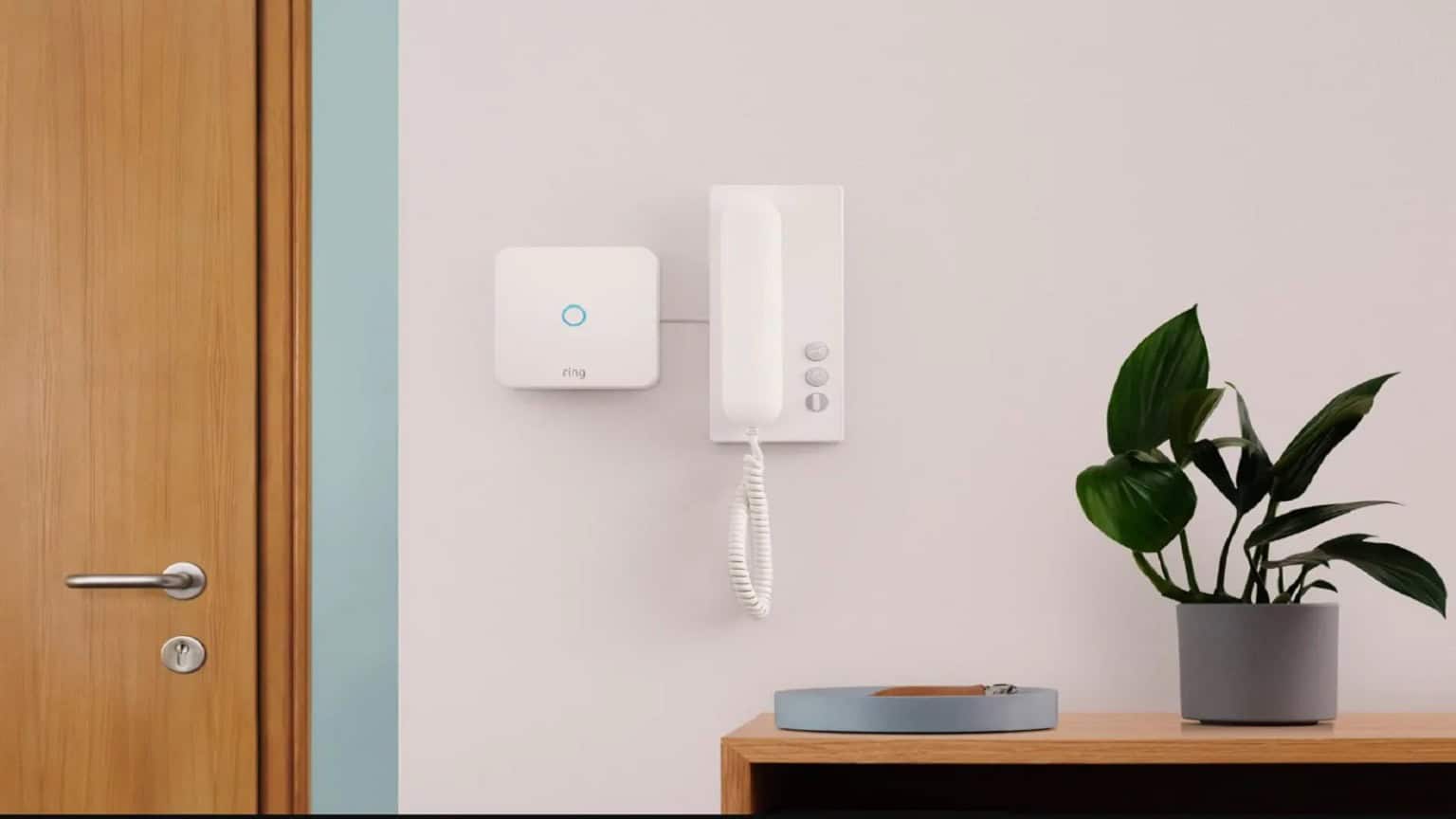 Ring Intercom