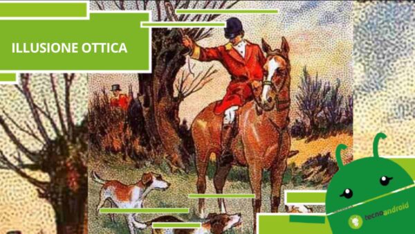 Illusione Ottica, è quasi impossibile trovare la volpe nell'immagine